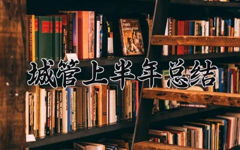 城管2025上半年总结 2025年城管半年工作总结 (11篇）