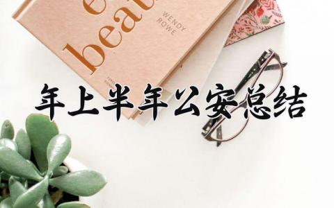 2025年上半年公安总结范文 2025年公安上半年总结模板 (7篇）