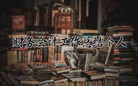 财务会计工作总结个人范文 财务会计人员个人工作总结 (12篇）