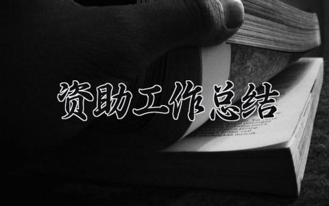 资助工作总结范文 资助工作总结模板 (15篇）