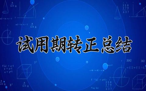 试用期转正总结 试用期的转正总结 (6篇）
