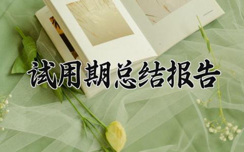试用期总结报告 试用期的总结报告范文300字 (8篇）