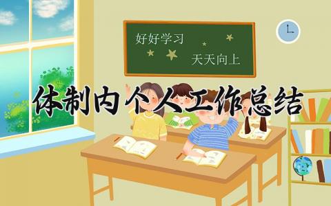 体制内个人工作总结完整版 体制内个人工作总结2025范文 (8篇）