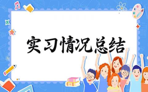 实习情况总结 关于实习情况的总结  (9篇）