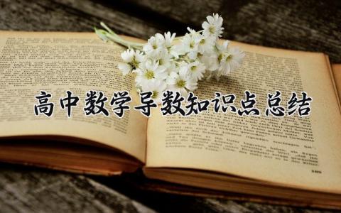 高中数学导数知识点总结 导数公式大全图片 (4篇）