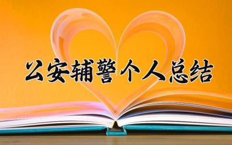 公安辅警个人总结范文 公安辅警个人总结自评 (5篇）