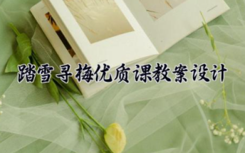 踏雪寻梅优质课教案设计 踏雪寻梅音乐教案（10篇）