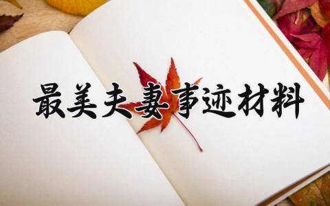 最美夫妻事迹材料 最美夫妻的事迹材料范文 (11篇）
