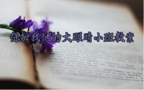 保护我们的大眼睛小班教案反思 保护我们的大眼睛小班教学反思（10篇）