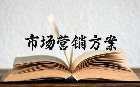 市场营销方案怎么写 关于市场营销的策划方案