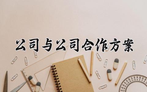 公司与公司合作方案 公司与公司合作的方案怎么写范文 (7篇）
