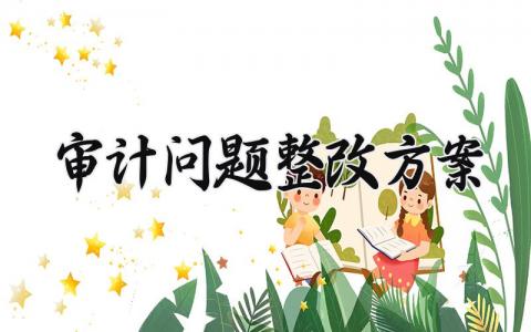 审计问题整改方案 审计的问题整改方案 (4篇）