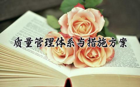 质量管理体系与措施方案设计 质量管理体系建设方案范本