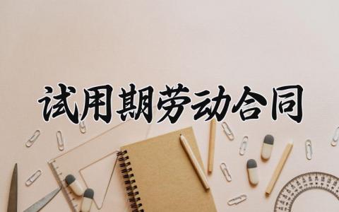 试用期劳动合同 非全日制用工劳动合同 (13篇）