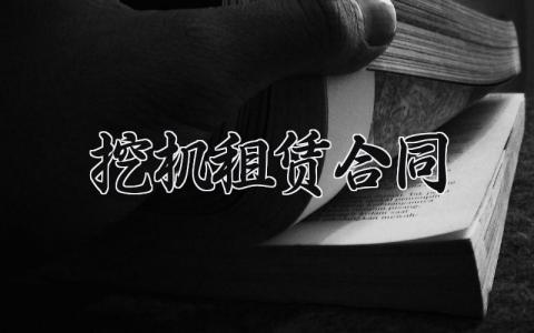 挖机租赁合同 挖机租赁的合同简单版 (6篇）