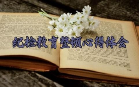 纪检教育整顿心得体会 纪检教育整顿的心得体会范文（10篇）