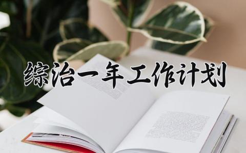 综治一年工作计划 综治一年的工作计划和总结 (14篇）