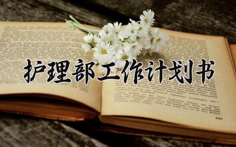 护理部工作计划书 护理部工作的计划范文 (20篇）