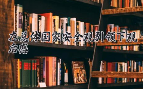 在总体国家安全观引领下观后感怎么写 国家安全教育读后感（10篇）