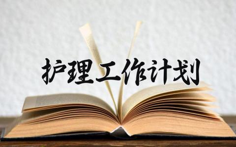 2025护理工作计划 2025护理的工作计划怎么写 (17篇）