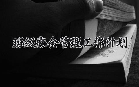 班级安全管理工作计划 班级安全的管理工作计划怎么写 (13篇）
