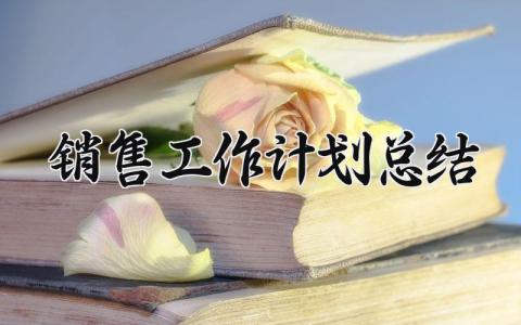 销售工作计划总结 销售工作的计划总结简短 (14篇）