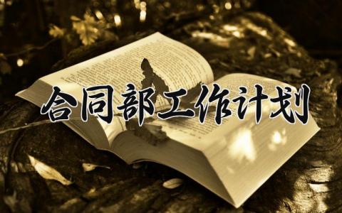 合同部工作计划范文 计划合同部个人工作总结 (13篇）