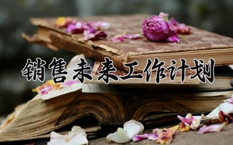 销售未来工作计划 关于销售的未来工作计划范文 (10篇）