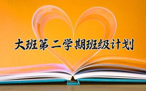 大班第二学期班级计划 大班第二学期的班级计划怎么写 (11篇）