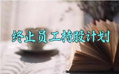 终止员工持股计划 终止员工的持股计划怎么写 (7篇)