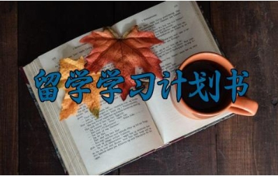 留学学习计划书 留学计划书的范文（7篇）