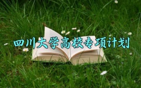 四川大学高校专项计划 四川大学高校的专项计划范文（3篇）