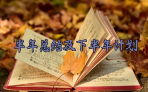 半年总结及下半年计划范文 半年总结及下半年计划15篇