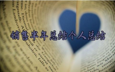 销售半年总结个人总结 销售半年的总结个人总结反省（17篇）