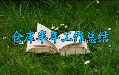 仓库半年工作总结 仓库半年的工作总结与计划（14篇）