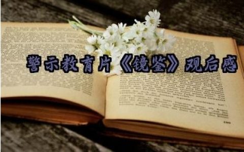 警示教育片《镜鉴》观后感 关于警示教育片《镜鉴》的心得体会（10篇）