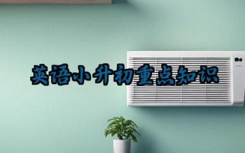 英语小升初重点知识最新版大全 英语小升初阅读理解知识点及考试技巧和方法