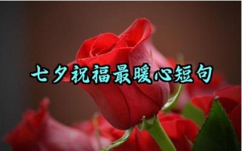 七夕祝福最暖心短句怎么写