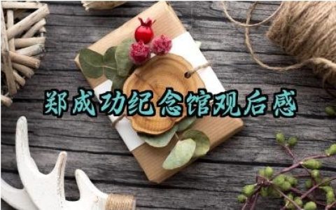 郑成功纪念馆观后感怎么写范文（10篇）