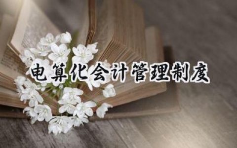 电算化会计管理制度内容范文 (10篇）