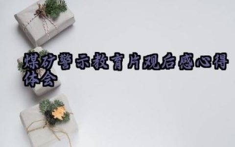 煤矿警示教育片观后感心得体会怎么写（10篇）