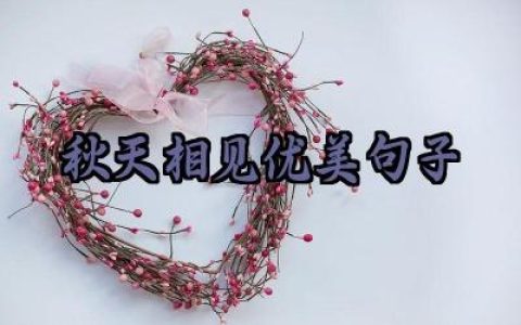 秋天相见优美句子简短唯美大全