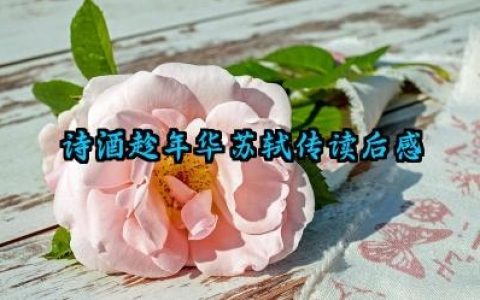 诗酒趁年华苏轼传读后感怎么写（10篇）