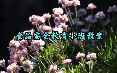 ​食品安全教育小班教案范文精选（10篇）