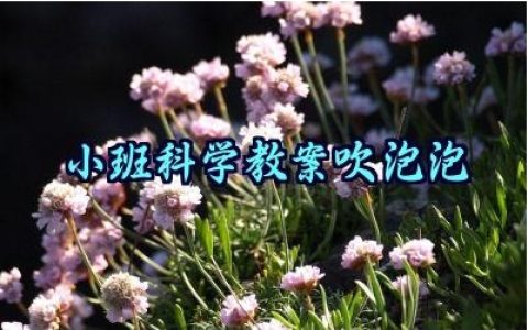 小班科学教案吹泡泡怎么写（10篇）