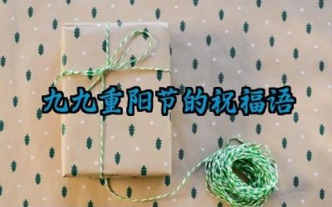 九九重阳节的祝福语简短范例