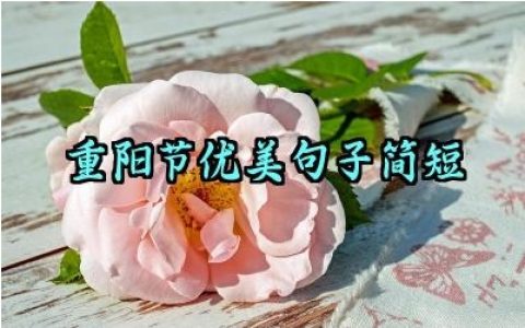 重阳节优美句子简短祝福朋友圈