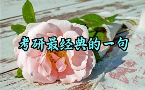 2025考研最经典的一句范例汇总