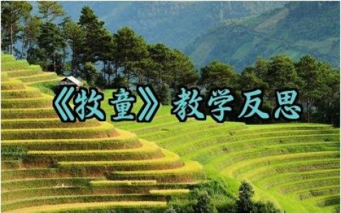 《牧童》教学反思范文精选（10篇）