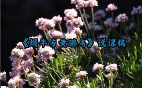 《蜗牛与黄鹂鸟》说课稿怎么写（10篇）